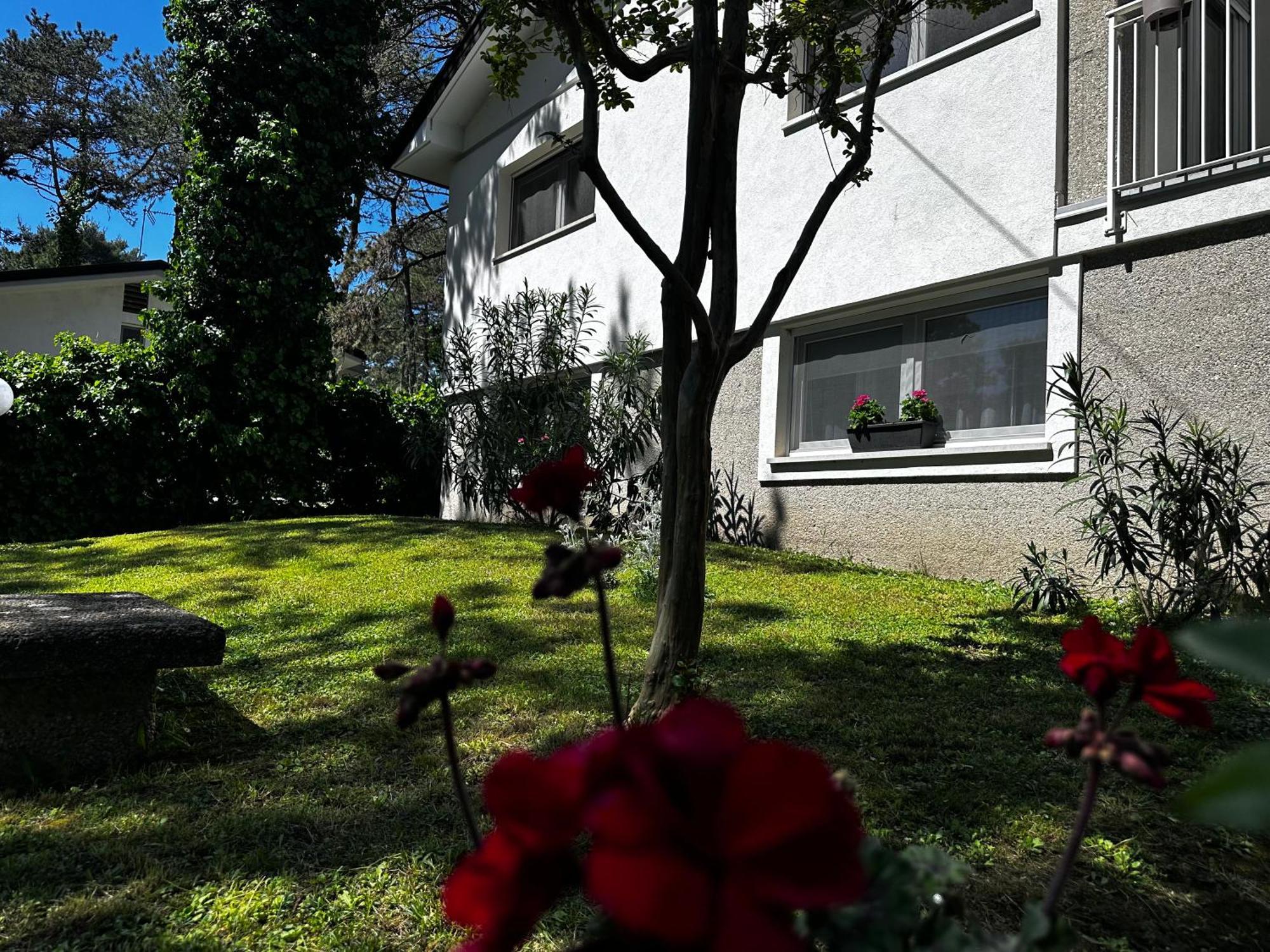 Villa Greif Pineta Lignano Sabbiadoro Extérieur photo